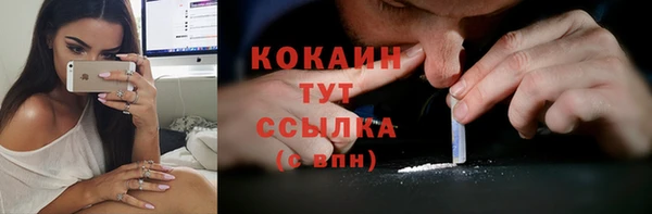 кокс Алзамай