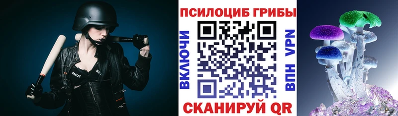 Псилоцибиновые грибы GOLDEN TEACHER  Сосновоборск 